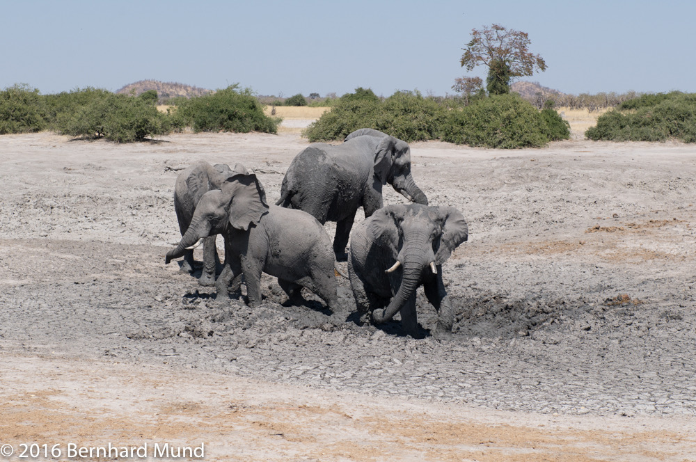 bythom 8-12-okavango-bm-1.jpg