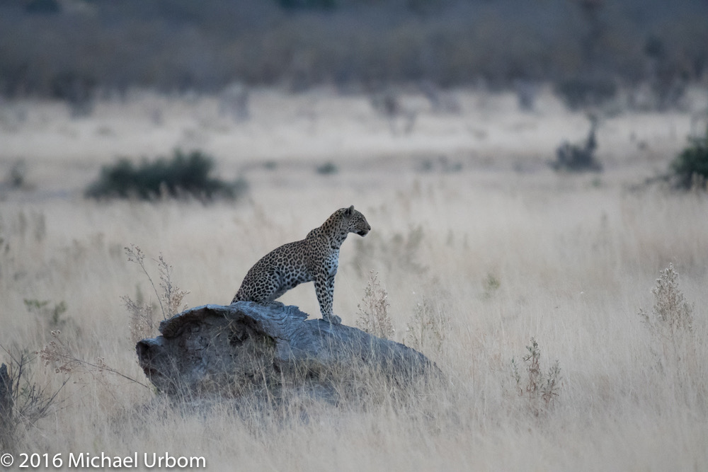 bythom 8-12-okavango-mu-2.jpg