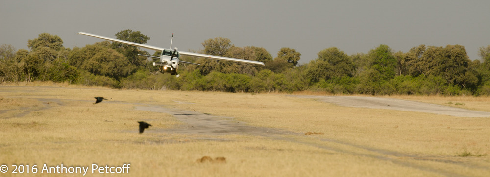 bythom 8-15-okavango-ap-7.jpg