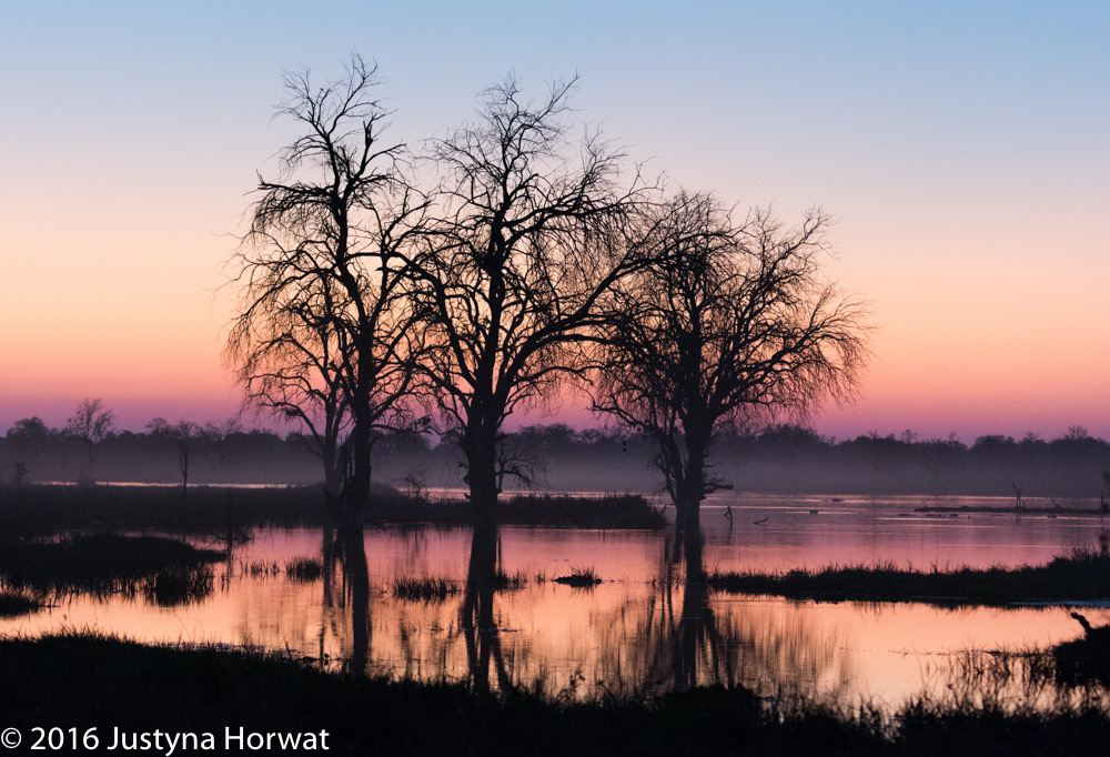 bythom 8-15-okavango-jh-10.jpg