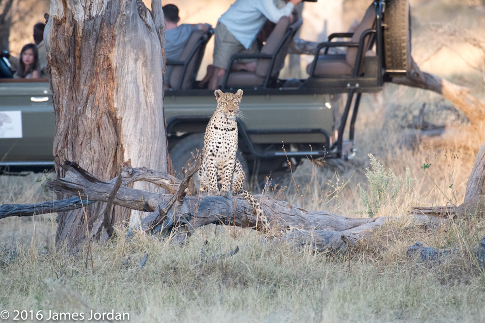 bythom 8-15-okavango-jj-5.jpg