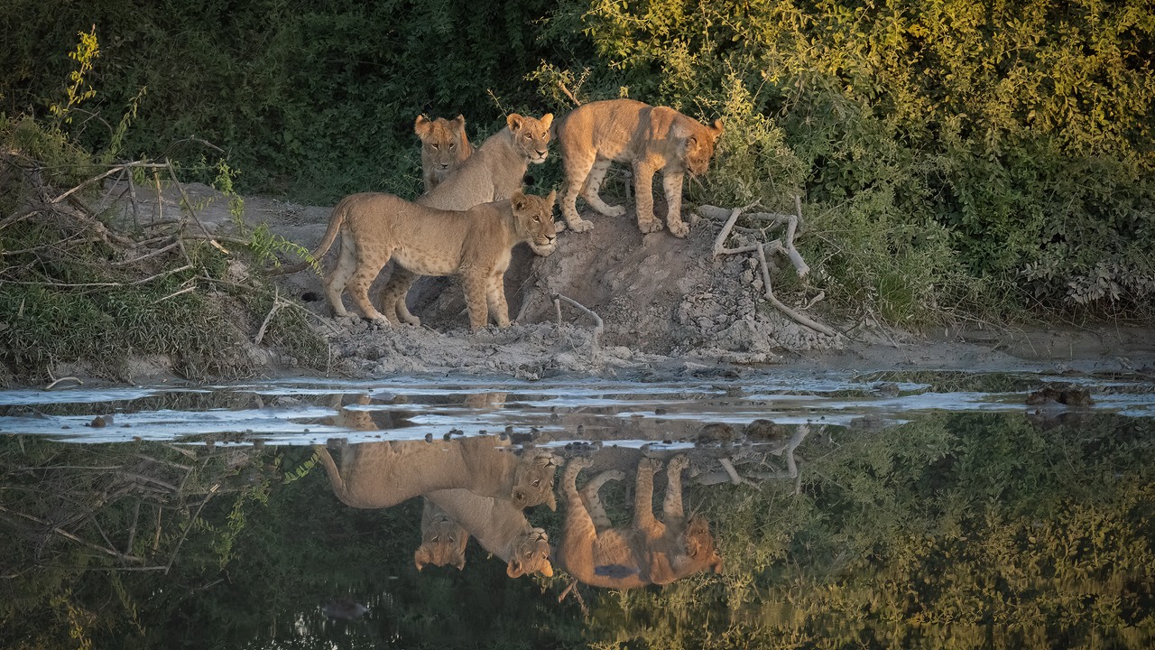 bythom INT BOTS Okavango2024 Z91 7431