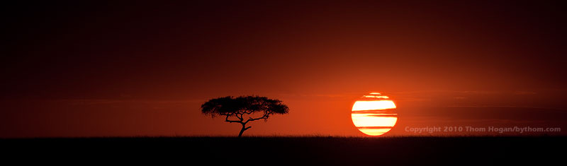 INT Kenya Mara 2009 D90 00571.JPG