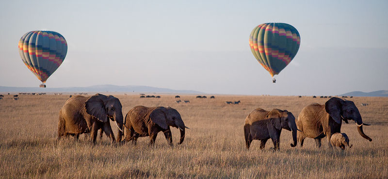 INT Kenya Mara 2009 D90 00626.JPG