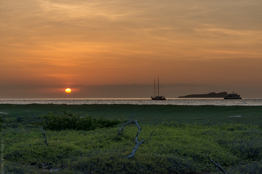 Masood-Galapagos-20140401-17- MGD7585.jpg